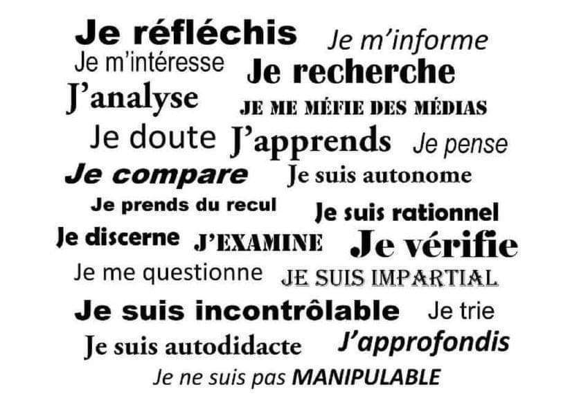 miniature Démocratie Continue